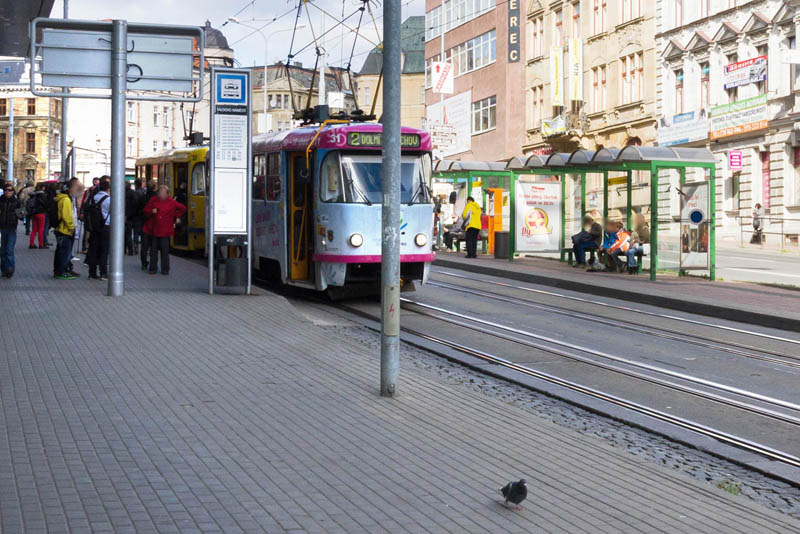 312030 Citylight, Liberec (Palachova X Šaldovo náměstí )