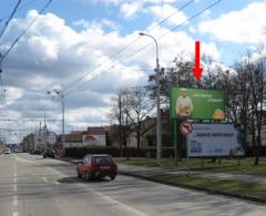 1261053 Billboard, České Budějovice (Husova / O. Nedbala )