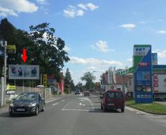 1521013 Billboard, Svitavy (Zámecká 2-čerp.st. OMV        )