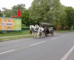 381023 Billboard, Karlovy Vary (Západní ulice)