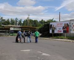 1671003 Billboard, Sokolov (Jednoty         )