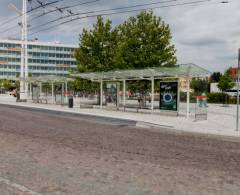 542293 Citylight, Hradec Králové (Riegrovo náměstí/nást.č.6)