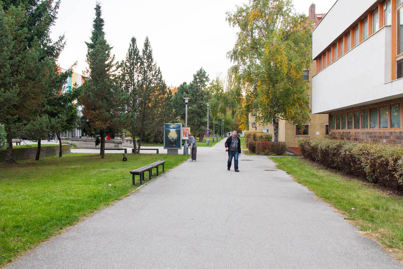 262042 Citylight, České Budějovice (Pražská třída,Pražské sídliště  )