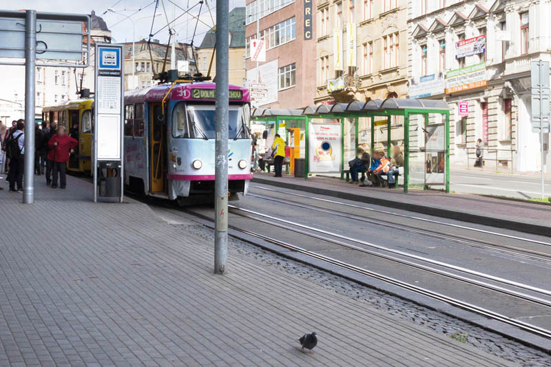 312028 Citylight, Liberec (Palachova X Šaldovo náměstí )